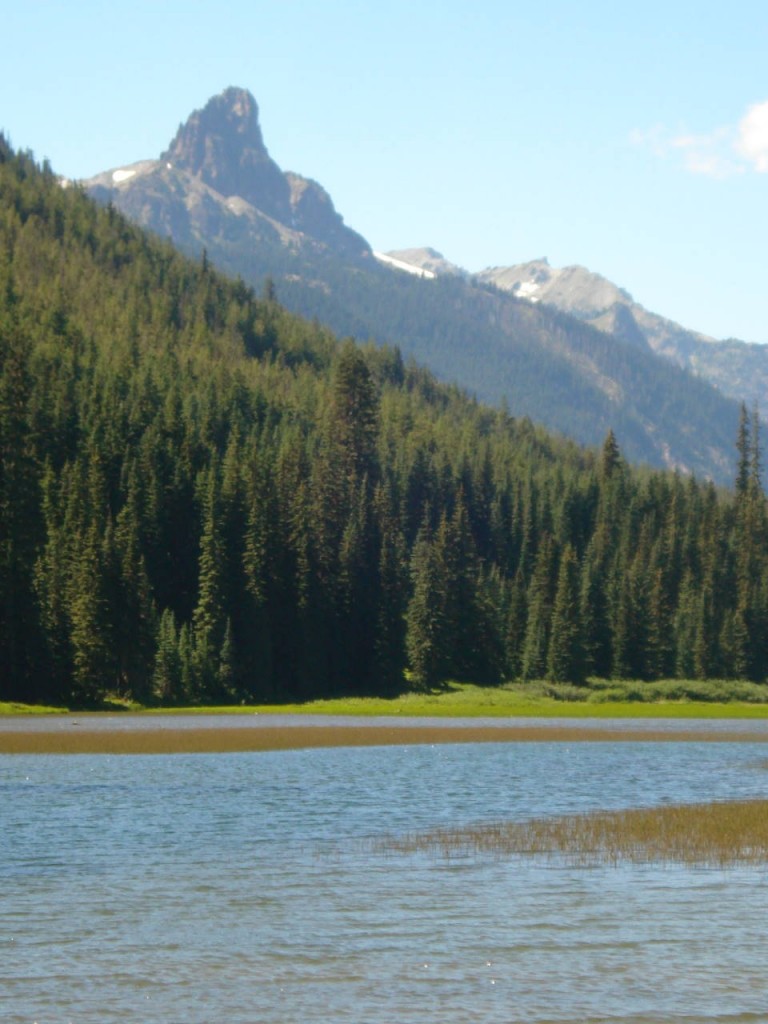 Looking north at Tucquala Lake